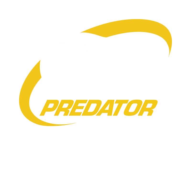 World Pro Women's Billiard Series Logo